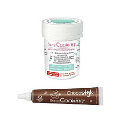 Scrapcooking Stylo chocolat + Colorant alimentaire en poudre vert d'eau