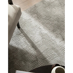 Avis Hadorn Tapis 240x240 gris Davos Flawless