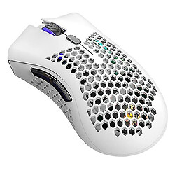 Universal Souris sans fil souris de jeu rechargeable (blanc) 