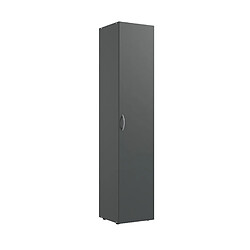 Pegane Armoire, meuble de rangement avec 1 porte coloris Graphite - longueur 30 x hauteur 185 x profondeur 54 cm 