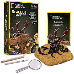 Bandai National Geographic - Kit de fouille - 3 insectes à extraire