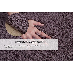 LUUCOZK Tapis moelleux en fausse fourrure, tapis à poils longs pour chambre à coucher et salon, Beige-160x230 cm pas cher