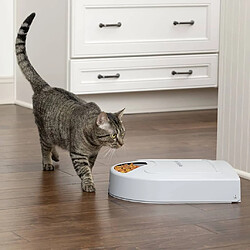 Gamelle pour chat PetSafe