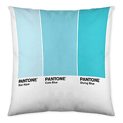 Pantone Housse de coussin Ombre Réversible (50 x 50 cm)