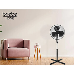 Ventilateur sur Pied Silencieux, Télécommande, Minuterie jusqu'à 7,5 Heures, 45, Noir, Briebe, FN122397