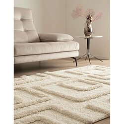 Avis Hadorn Tapis shaggy 305x240 Blanc Thun Artem