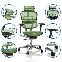 Avis Chaise de bureau / Fauteuil de direction ERGOHUMAN GEN2 Tissu maille vert hjh OFFICE