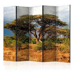 Paris Prix Paravent 5 Volets Samburu National Reserve, Kenya 172x225cm 