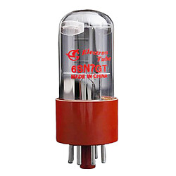 Tube de Préampli Valve de tube d’ampli de guitare pas cher