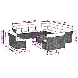 Avis vidaXL Salon de jardin avec coussins 14 pcs noir résine tressée