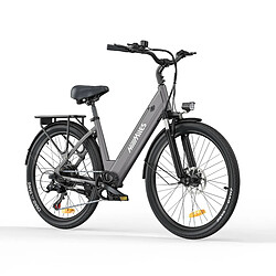 HillMiles MileCity 250 W 26" Vélo de Ville Electrique 36 V 13 Ah 468 Wh avec capteur de couple - Gris 