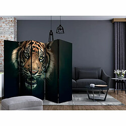 Paris Prix Paravent 5 Volets Bengal Tiger 172x225cm