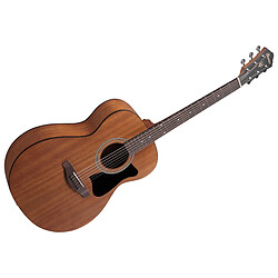 AAM50 OPN Epicéa de Sitka Open Pore Natural Ibanez 