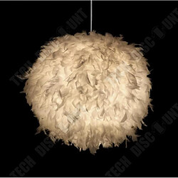 Avis Tech Discount TD® Lumière de plume simple lustre créatif salon chambre étude boule ronde lumière de plume