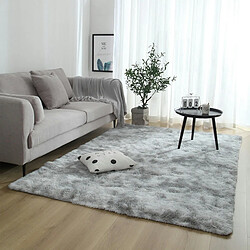 LUUCOZK Tapis à poils longs doux et moelleux pour chambre à coucher et salon - Gris clair-80x160cm 