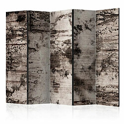 Paris Prix Paravent 5 Volets Burnt Wood 172x225cm 