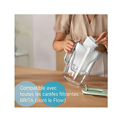 Acheter Pack de 2 cartouches maxtra pro pour carafe - 1050413 - BRITA