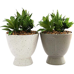 Sil Succulente artificielle en pot Visage (Lot de 2). Succulente artificielle en pot Visage (Lot de 2)