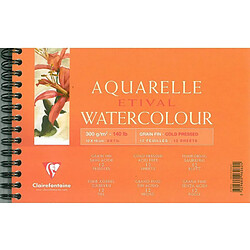 Clairefontaine 96062C Papier aquarelle Grain Fin 12 Feuilles Blanc 