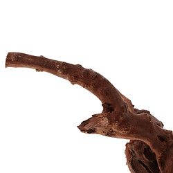 bois tronc driftwood arbre aquarium poisson réservoir plante décoration ornement # 2