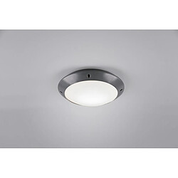 Lumière Plafonnier Moderne Camaro Anthracite IP54