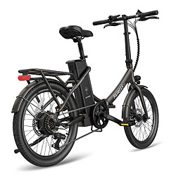 Acheter Vélo électrique FAFREES F20 Lasting - Moteur 250W Batterie 36V18.2Ah Assisted Autonomie 120KM Frein à Disque Mécanique - Noir