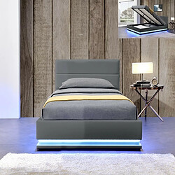 Meubler Design Lit Led Avec Coffre De Rangement Ava - Gris - 90x190 