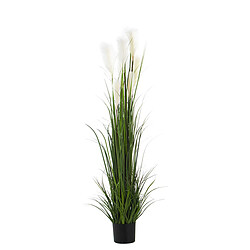 Plante décorative Alexandra House Living Plastique Fougère 150 cm 