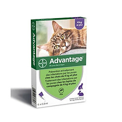 ADVANTAGE 80 - 6 pipettes antiparasitaires - Pour chat et lapin de 4kg et plus