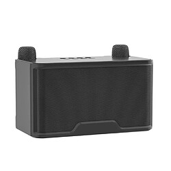 Yonis Enceinte TWS Bluetooth & Micro Sans Fil Enceinte Bluetooth Sans Fil Microphone TWS Réduction de Bruit Intelligent Pour Maison KTV Chant Noir YONIS