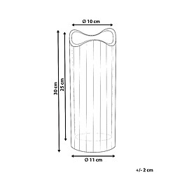 Avis Beliani Vase à fleurs PERDIKI Verre 30 cm Rose