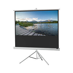 Ecran de projection sur pied celexon Economy 158 x 89 cm - White Edition Ecran de projection sur pied celexon Economy 158 x 89 cm - White Edition | Format 16:9