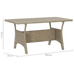 Acheter vidaXL Table de jardin Gris 120x70x66 cm Résine tressée