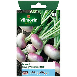 Vilmorin Sachet graines Navet rave d'auvergne hâtif 