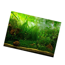 Acheter Fond d'Aquarium Vivid, Adhésif Affiche Fish Tank Wall Decor Sticker Waterweeds XL