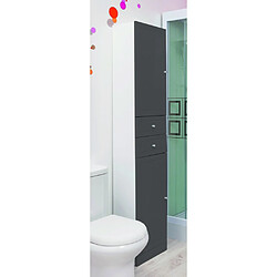 Colonne de salle de bain TOLEDE grise Colonne de salle de bain TOLEDE grise 2 portes à ouverture réversible + 2 tiroirs. Caisson en panneau de particules mélaminé blanc. Dimensions colonne (H x l x P): 188 x 35 x 26 cm Façades PVC gris. Vendue en kit Dont 2,30 de taxe eco-mobilier