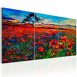 Paris Prix Tableau Imprimé Valley of Poppies 30 x 60 cm