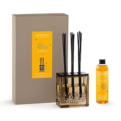 ESTEBAN - COFFRET TRYPTIQUE BOUQUET PARFUME AMBRE 