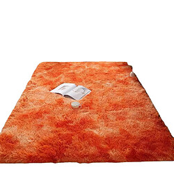 Acheter LUUCOZK Tapis à poils longs doux et moelleux pour chambre à coucher et salon - RoseViolet-200 x 250 cm