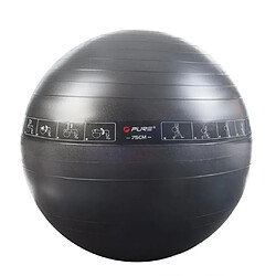 Pure 2 improve Pure2Improve Ballon d'exercice 75 cm Noir