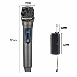 Récepteur De Microphone Sans Fil Pour Karaoké, Réunion, Église, École, Spectacle, Gris