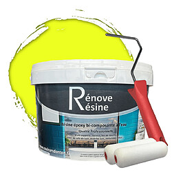 Pok Peinture Résine multisupport Intérieur 0,5L