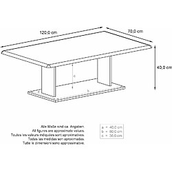 Avis Mpc Table De Salon Table Basse En Blanc Avec Plateau De Dessus En Noir Mat 40 X 120 X 70