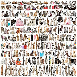 Puzzle animaux