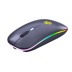 Universal Souris sans fil 2,4 GHz Bluetooth, ordinateur RGB souris silencieuse bande rechargeable, souris éclairée à LED, PC portable 