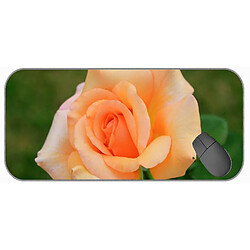 Universal (750x300x3) XXL GAMING MOUSE PAD, coloré, naturel, pad de souris Rose Office