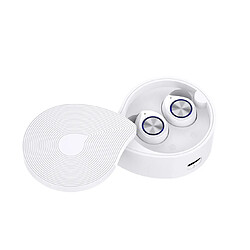 YP Select Écouteurs sans fil Bluetooth 5.0 Écouteurs True Wireless Stereo Earphones Hi-fi Sound Bluetooth Headset with Charging Case-Blanc 