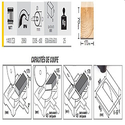 Scie à onglet FEMI avec déligneuse - 1400W Ø305mm - TR305I