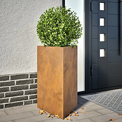 vidaXL Jardinière triangulaire 50x43x75 cm acier corten