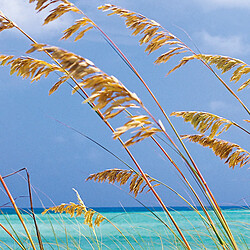 Komar Ocean Breeze Photo murale - 368 x 254 cm